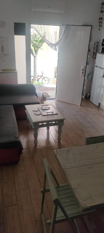 Loft El Pez Blanco Lejlighed El Puerto de Santa María Eksteriør billede
